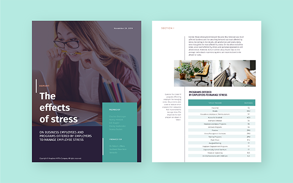 creare-report-aziendale-template-3